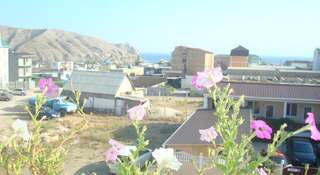 Гостиница Гостевой Дом Отдых у Ридвана Судак-2